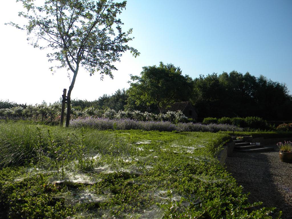 Petrus Wittebrood Hoeve Dikkelvenne Exteriör bild