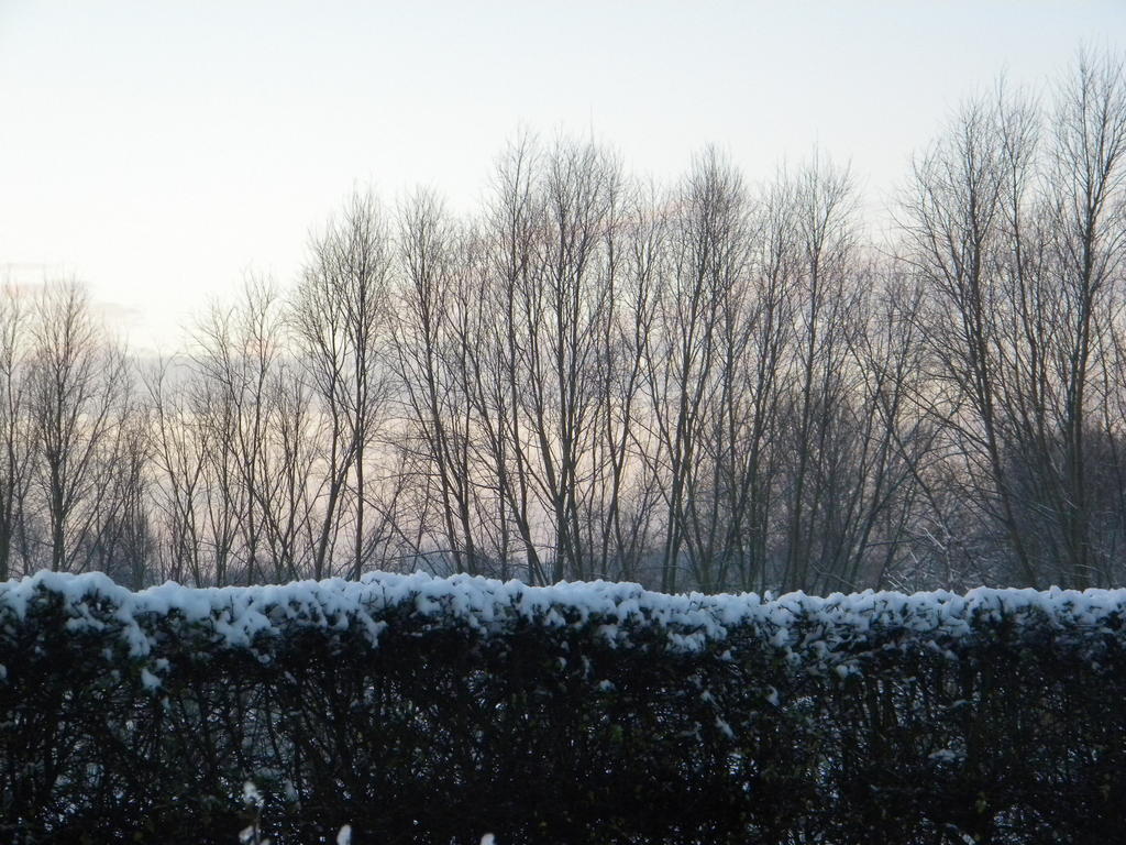 Petrus Wittebrood Hoeve Dikkelvenne Exteriör bild