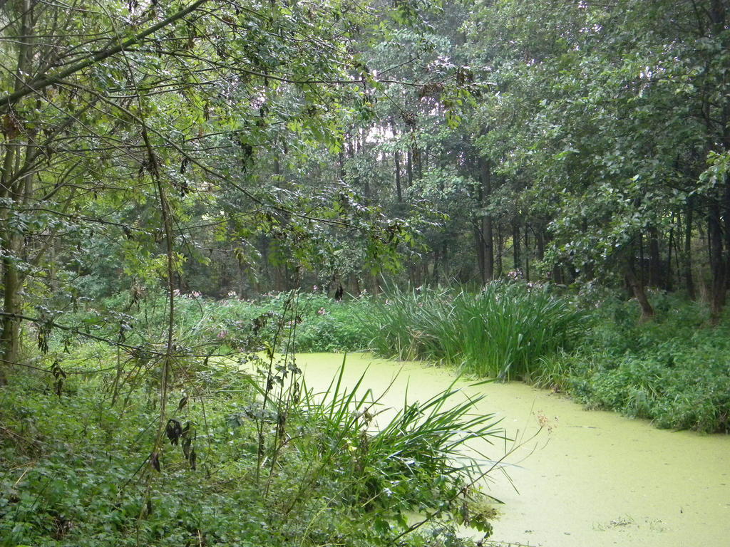 Petrus Wittebrood Hoeve Dikkelvenne Exteriör bild